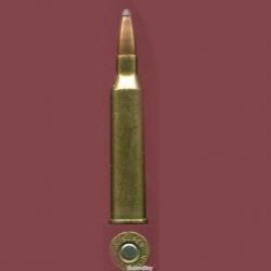 .225 Winchester - WW SUPER