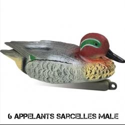 6 Appelants sarcelle male STEPLAND 