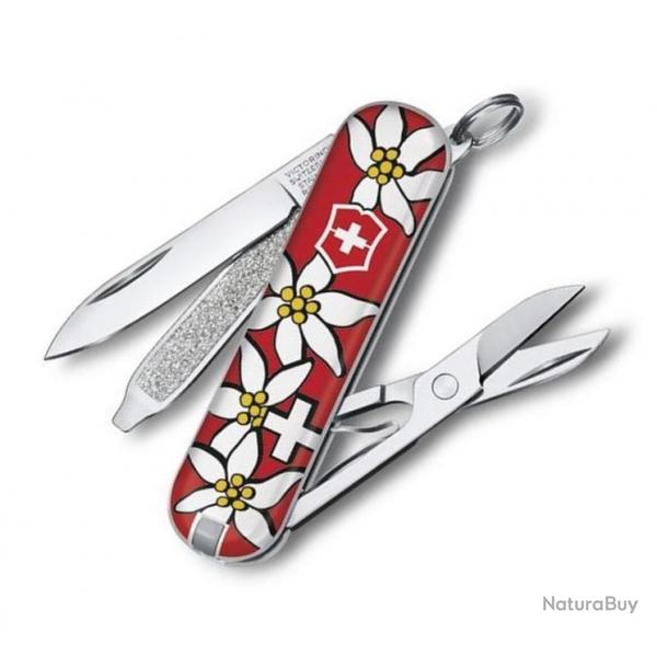 Couteau suisse Classic SD Edelweiss [Victorinox]