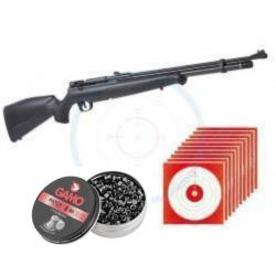 Carabine Benjamin Maximus PCP + 250 Plombs + 10 Cibles - Cal.4.5mm - 19.9 Joules - Destock'Tir