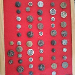 Boutons de venerie