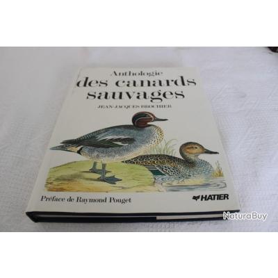 Lot De 3 Patches Fer à Repasser Canard Colvert - Broderie Oiseaux Pour Vêtement