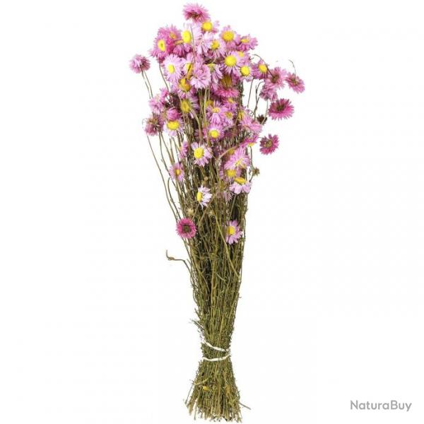 Bouquet fleurs sches acroclinium rose - 70 cm