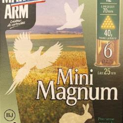 Cartouches MARY ARM MINI MAGNUM 40 - Cal 12/70 40gr N°6 BJ X10