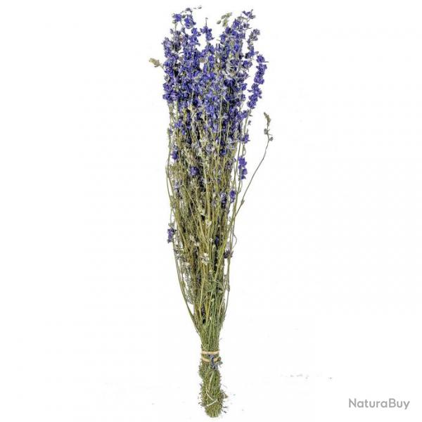 Bouquet fleurs sches delphinium bleu - 60 cm