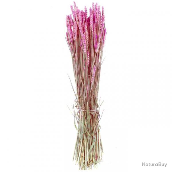 Bouquet sch de bl triticum rose - 70 cm