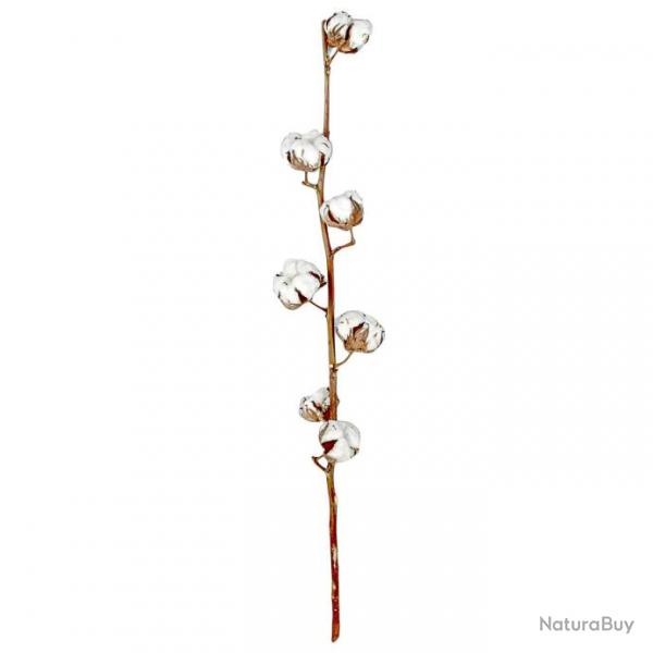 Branche de fleurs de coton - 60 cm