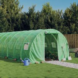 Serre avec cadre en acier vert 24 m² 8x3x2 m