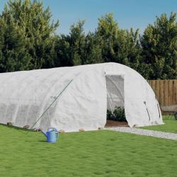 Serre avec cadre en acier blanc 30 m² 6x5x2,3 m