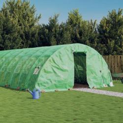 Serre avec cadre en acier vert 40 m² 8x5x2,3 m