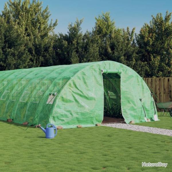 Serre avec cadre en acier vert 40 m 8x5x2,3 m