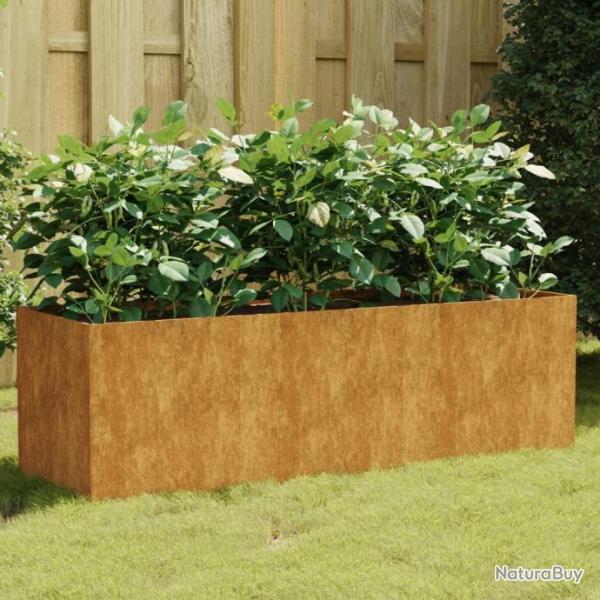 Lit surlev de jardin 120x40x40 cm acier corten