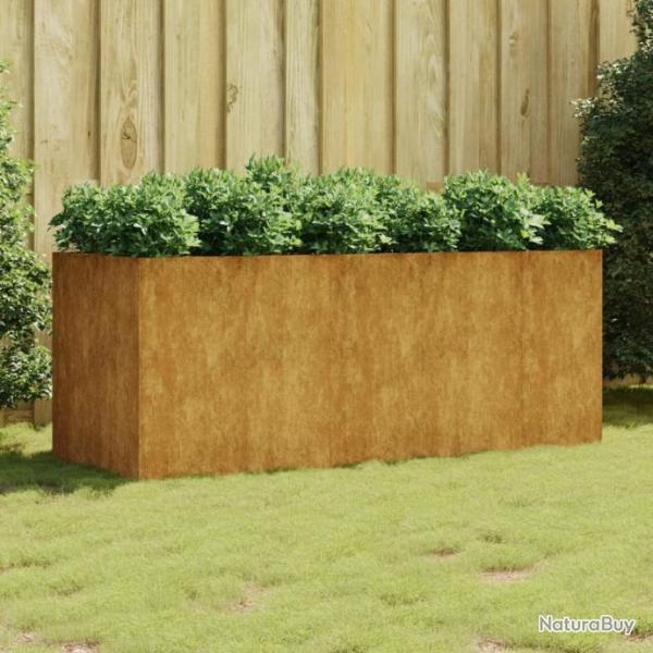 Lit surlev de jardin 200x80x80 cm acier corten