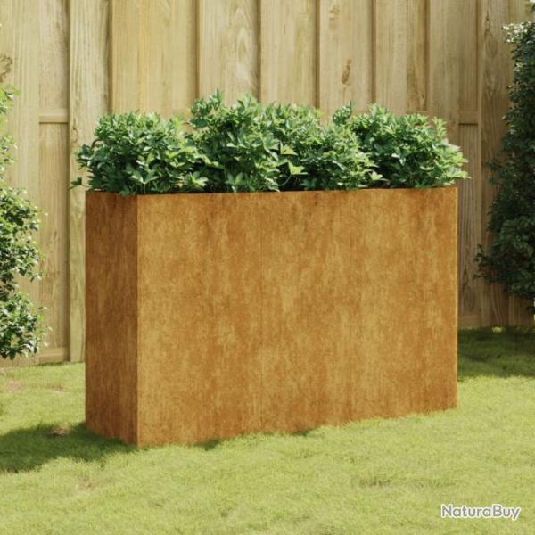 Lit surlev de jardin 120x40x80 cm acier corten