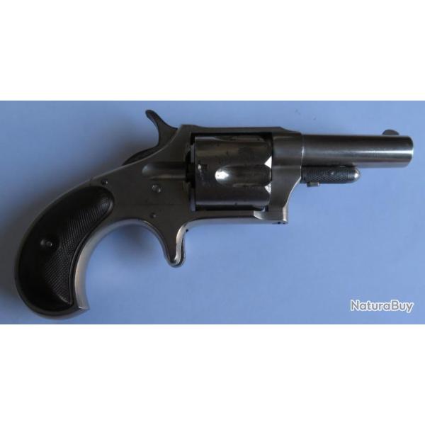 Revolver Remington Smooth calibre 38 R.F.