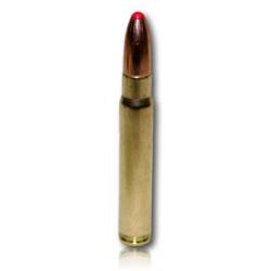 9.3X62 NORMA PPDC 285GR BTE 20