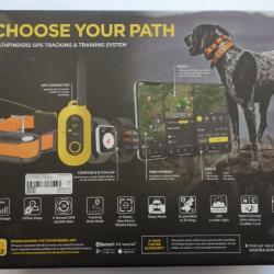 COLLIER DE DRESSAGE DOGTRA PATHFINDER2