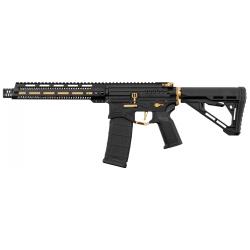 Réplique R15 mod 1 Zion Arms noire et or garde main long