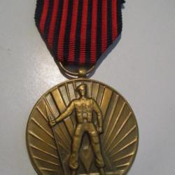 Médaille belge du Volontaire 1940-1945