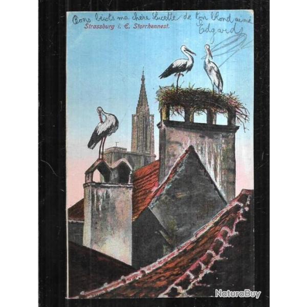 strasbourg cigognes et cathdrale carte allemande  carte postale ancienne colorise