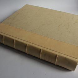 Livre Entre Clémence et Collavine Chroniques Genevoises Buenzod Perret