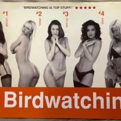 Affiche, poster, BIRDWATCHING  43 x 61 cm