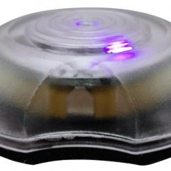Marqueur LED - LED Violette / Noir - Swiss Arms