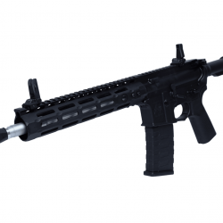 ASR114 AEG (Crosse RS3) - Noir - APS