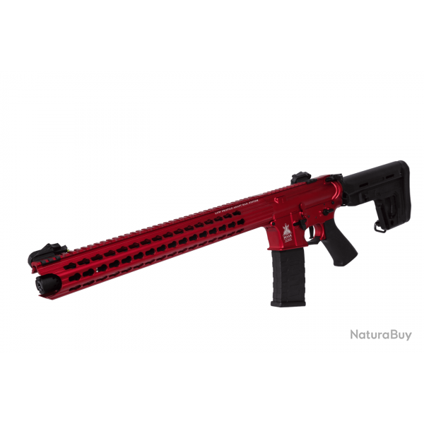 ASR119 (Crosse RS1) AEG - Noir - APS