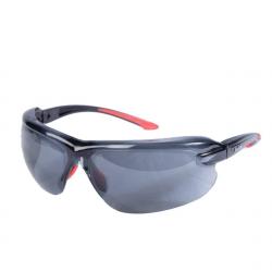 Lunettes IRI-S - Verres fumés - Bollé
