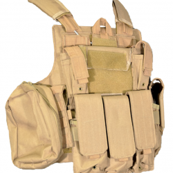 Plate carrier CRS type CIRAS - Tan - Swiss Arms
