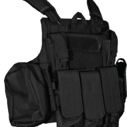 Plate Carrier CRS type CIRAS - Noir - Swiss Arms