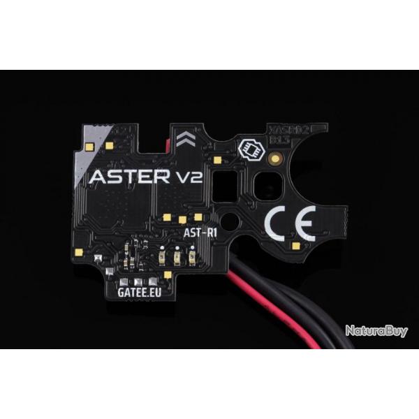 ASTER V2 Module - Basic / Cblage arrire - Gate