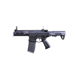 ARP-556 V2S AEG - Noir - G&G