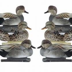 Formes de chipeau AvianX actifs HD