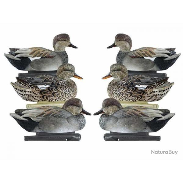 Formes de chipeau AvianX actifs HD