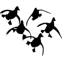 Autocollants canards au vol migrateur déco voiture camping car ou autres noir ou blanc ! A