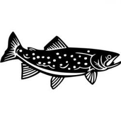 Autocollants pêche saumon déco voiture camping car ou autres noir ou blanc !