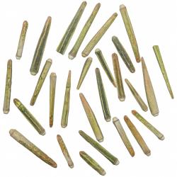 Epines d'oursin vert - Lot de 25