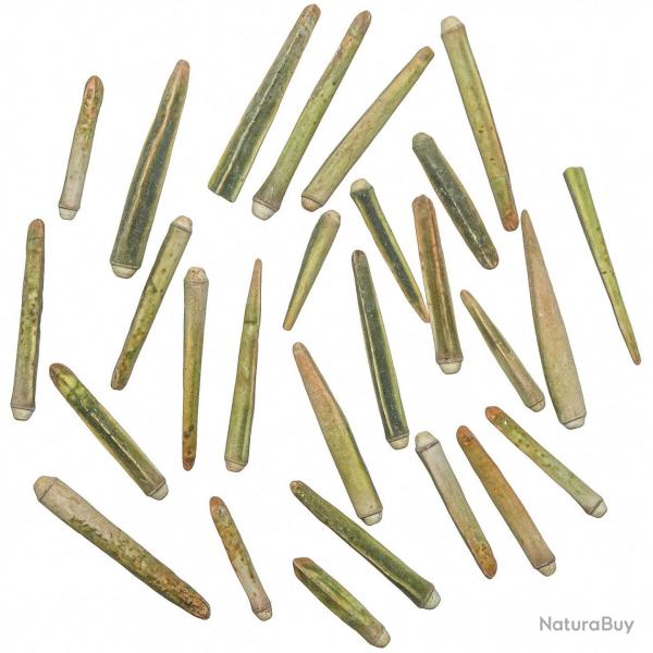 Epines d'oursin vert - Lot de 25