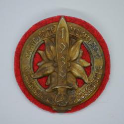 4. Insigne de la médaille SA