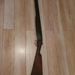 Browning b25 chasse