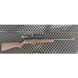 Carabine Squires Bingham model 1500 cal.22 magnum+ lunette de tir 4×20 montage colliers haut