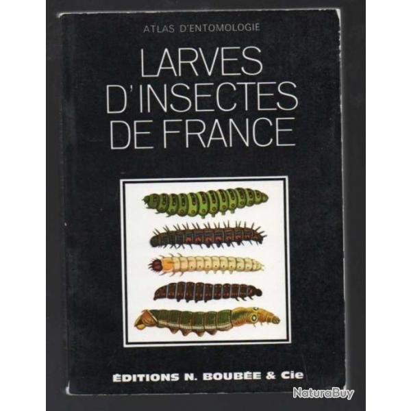 atlas des larves d'insectes de france entomologie de renaud paulian