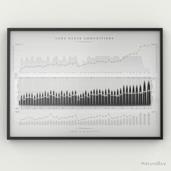 Poster / Affiche Munitions Longue Distance