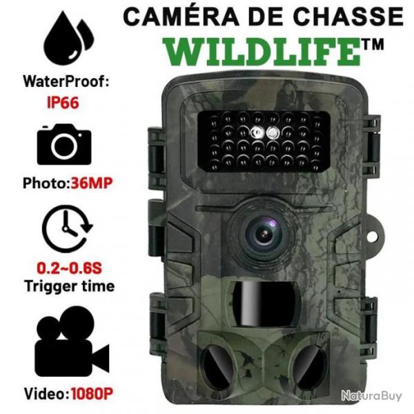 CAMRA DE CHASSE INFRAROUGE WILDLIFE 36MP - ETANCHE IP66 - VIDEO 1080P - LIVRAISON GRATUITE