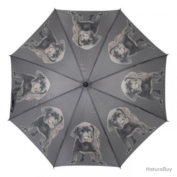 Parapluie Labradors