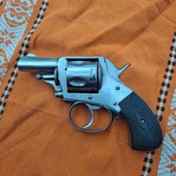 Joli buldog belge en calibre 380