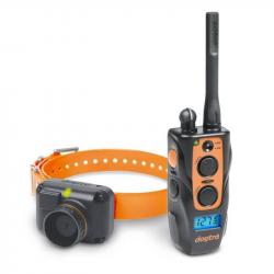 2600 T&B DOGTRA ideal pour chien bécassier LIVRAISON OFFERTE