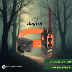 2600 T&B DOGTRA ideal pour chien bécassier LIVRAISON OFFERTE